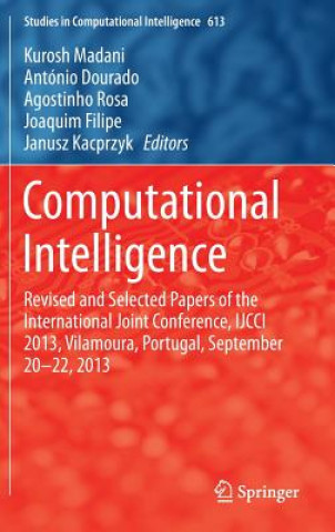 Könyv Computational Intelligence Kurosh Madani