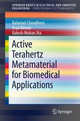 Kniha Active Terahertz Metamaterial for Biomedical Applications Balamati Choudhury