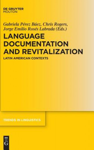Könyv Language Documentation and Revitalization in Latin American Contexts Gabriela Pérez Báez