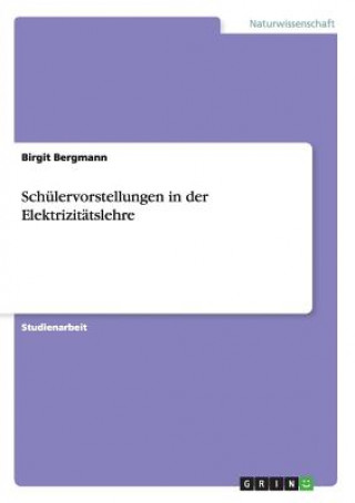 Könyv Schulervorstellungen in der Elektrizitatslehre Birgit Bergmann