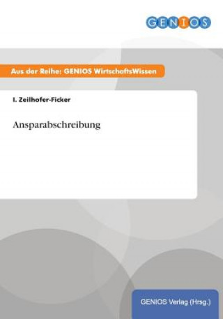 Książka Ansparabschreibung I Zeilhofer-Ficker