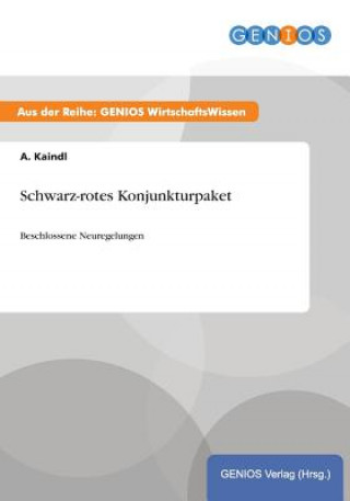 Buch Schwarz-rotes Konjunkturpaket A Kaindl