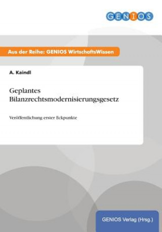 Könyv Geplantes Bilanzrechtsmodernisierungsgesetz A Kaindl