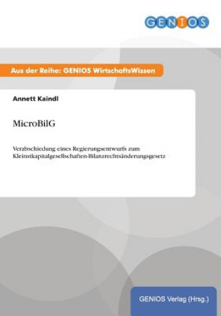 Könyv MicroBilG Annett Kaindl