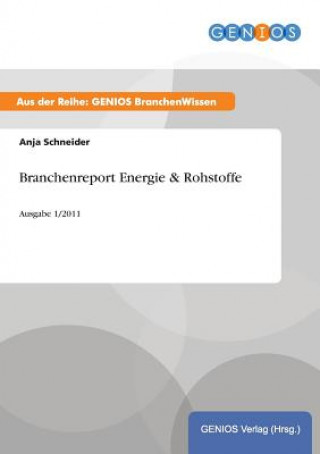 Kniha Branchenreport Energie & Rohstoffe Anja Schneider