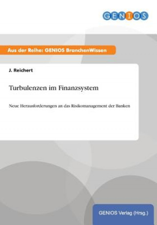 Kniha Turbulenzen im Finanzsystem J Reichert