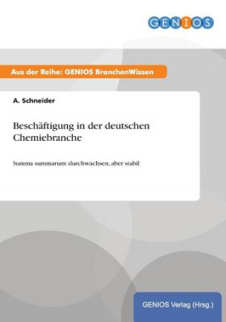 Könyv Beschaftigung in der deutschen Chemiebranche A Schneider