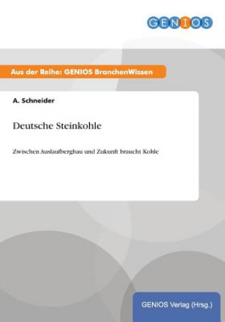 Kniha Deutsche Steinkohle A Schneider