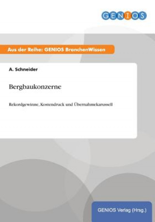 Kniha Bergbaukonzerne A Schneider