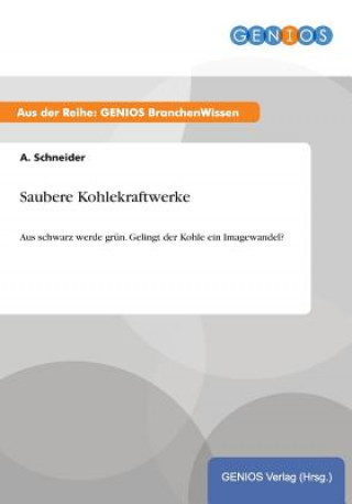 Kniha Saubere Kohlekraftwerke A Schneider