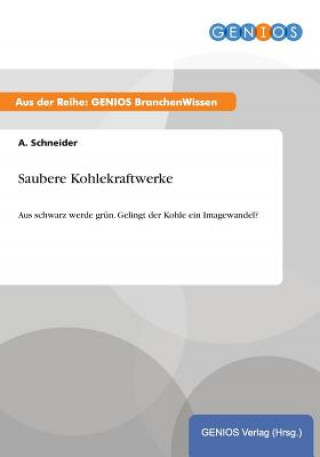 Libro Saubere Kohlekraftwerke A Schneider