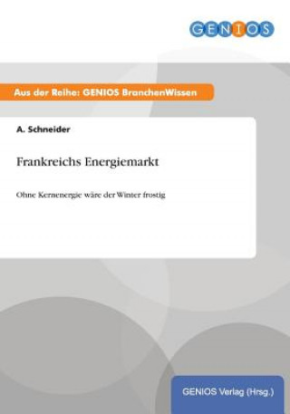 Könyv Frankreichs Energiemarkt A Schneider