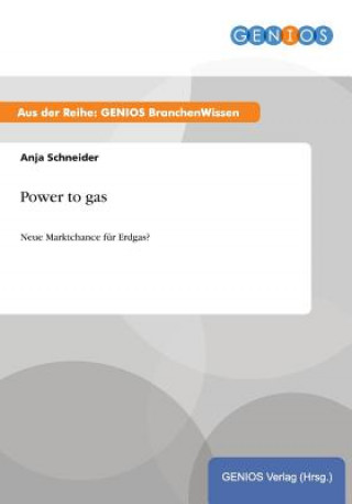 Книга Power to gas Anja Schneider