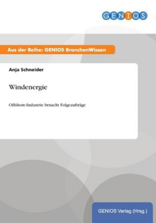 Kniha Windenergie A Schneider