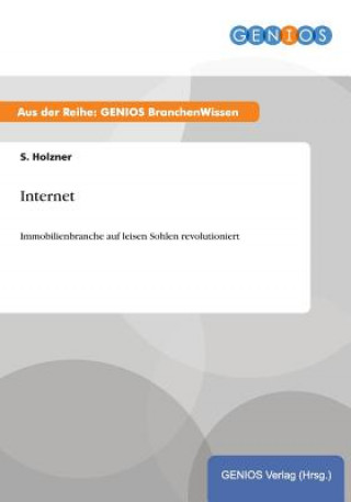 Kniha Internet S Holzner