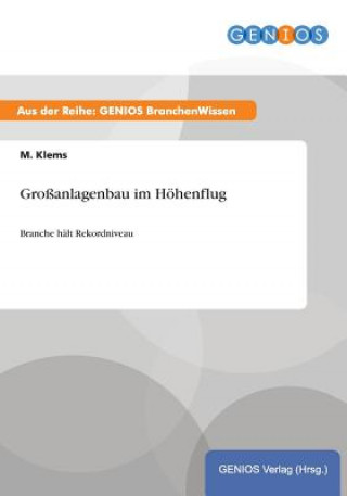 Kniha Grossanlagenbau im Hoehenflug M Klems