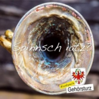 Audio Spinnsch iatz?, 1 Audio-CD Blaskapelle Gehörsturz