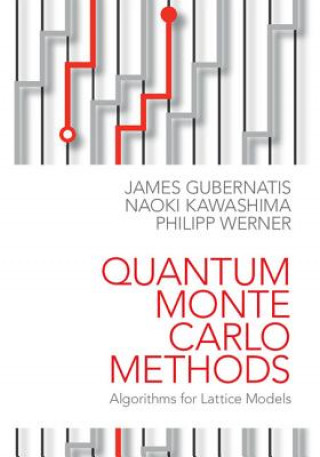 Könyv Quantum Monte Carlo Methods James Gubernatis