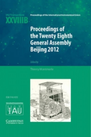 Kniha Proceedings of the Twenty-Eighth General Assembly Beijing 2012 Thierry Montmerle