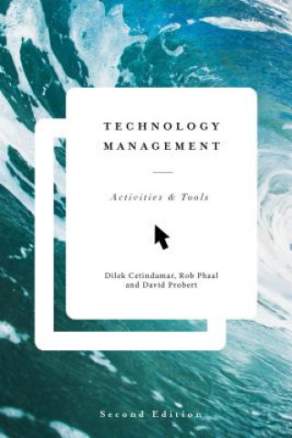 Kniha Technology Management Dilek Cetindamar