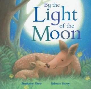 Libro By the Light of the Moon Stephanie Shaw