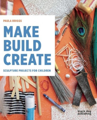 Kniha Make Build Create Paula Briggs
