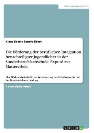 Kniha Foerderung der beruflichen Integration benachteiligter Jugendlicher in der Sonderberufsfachschule. Expose zur Masterarbeit Klaus Ebert