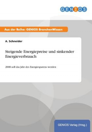 Könyv Steigende Energiepreise und sinkender Energieverbrauch A Schneider