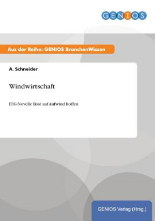 Kniha Windwirtschaft A Schneider