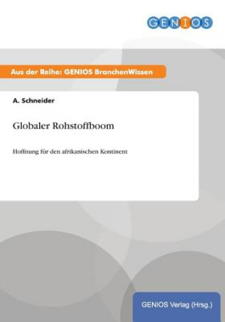 Kniha Globaler Rohstoffboom A Schneider