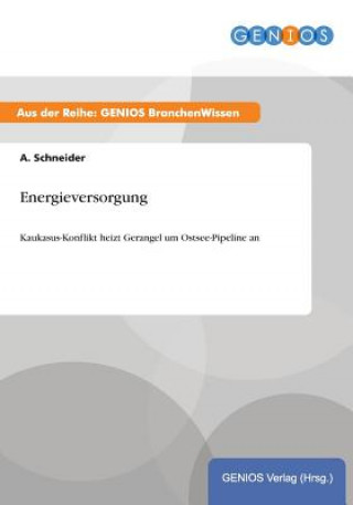 Kniha Energieversorgung A Schneider
