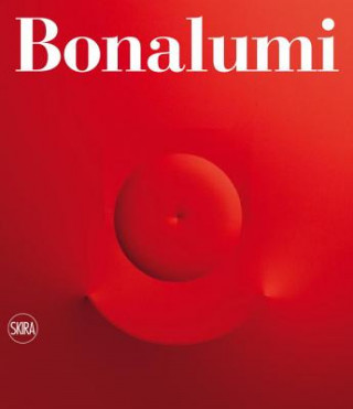 Kniha Agostino Bonalumi Fabrizio Bonalumi