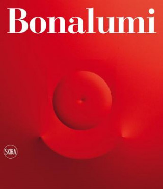 Buch Agostino Bonalumi Fabrizio Bonalumi