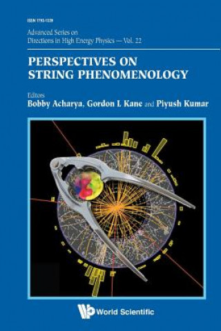 Könyv Perspectives On String Phenomenology Bobby Acharya