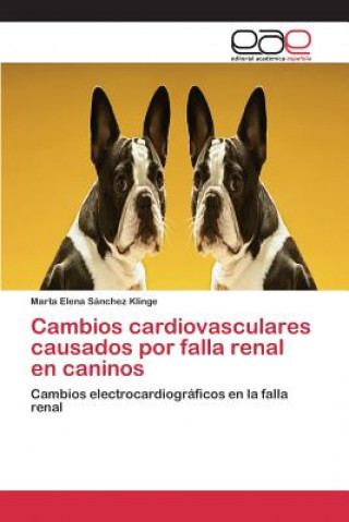 Kniha Cambios cardiovasculares causados por falla renal en caninos Sanchez Klinge Marta Elena