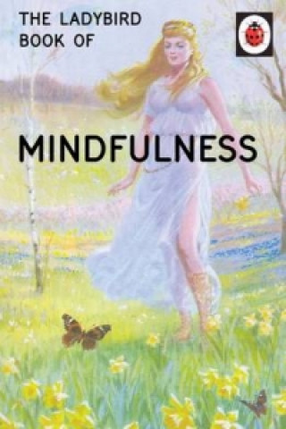 Книга Ladybird Book of Mindfulness Jason Hazeley