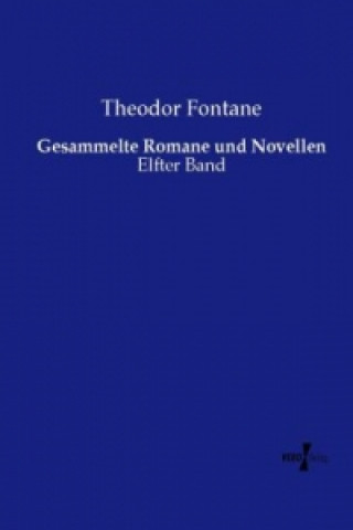 Carte Gesammelte Romane und Novellen Theodor Fontane
