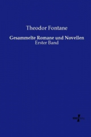 Książka Gesammelte Romane und Novellen Theodor Fontane