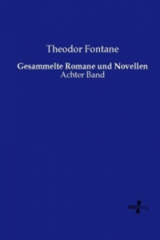 Książka Gesammelte Romane und Novellen Theodor Fontane