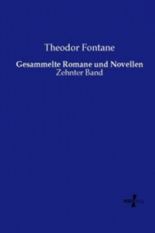 Livre Gesammelte Romane und Novellen Theodor Fontane