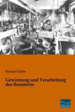 Книга Gewinnung und Verarbeitung des Bernsteins Richard Klebs