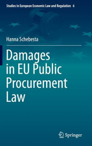 Kniha Damages in EU Public Procurement Law Hanna Schebesta