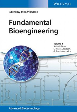 Kniha Fundamental Bioengineering John Villadsen