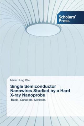 Kniha Single Semiconductor Nanowires Studied by a Hard X-ray Nanoprobe Chu Manh Hung