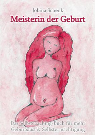 Kniha Meisterin der Geburt Jobina Schenk
