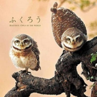 Könyv Beautiful Owls in the World Keisuke Ueda