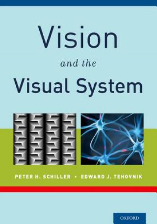 Könyv Vision and the Visual System Peter H. Schiller
