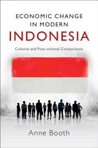 Könyv Economic Change in Modern Indonesia Anne Booth