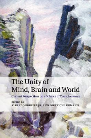 Kniha The Unity of Mind, Brain and World Alfredo Pereira