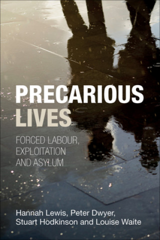 Carte Precarious Lives Hannah Lewis